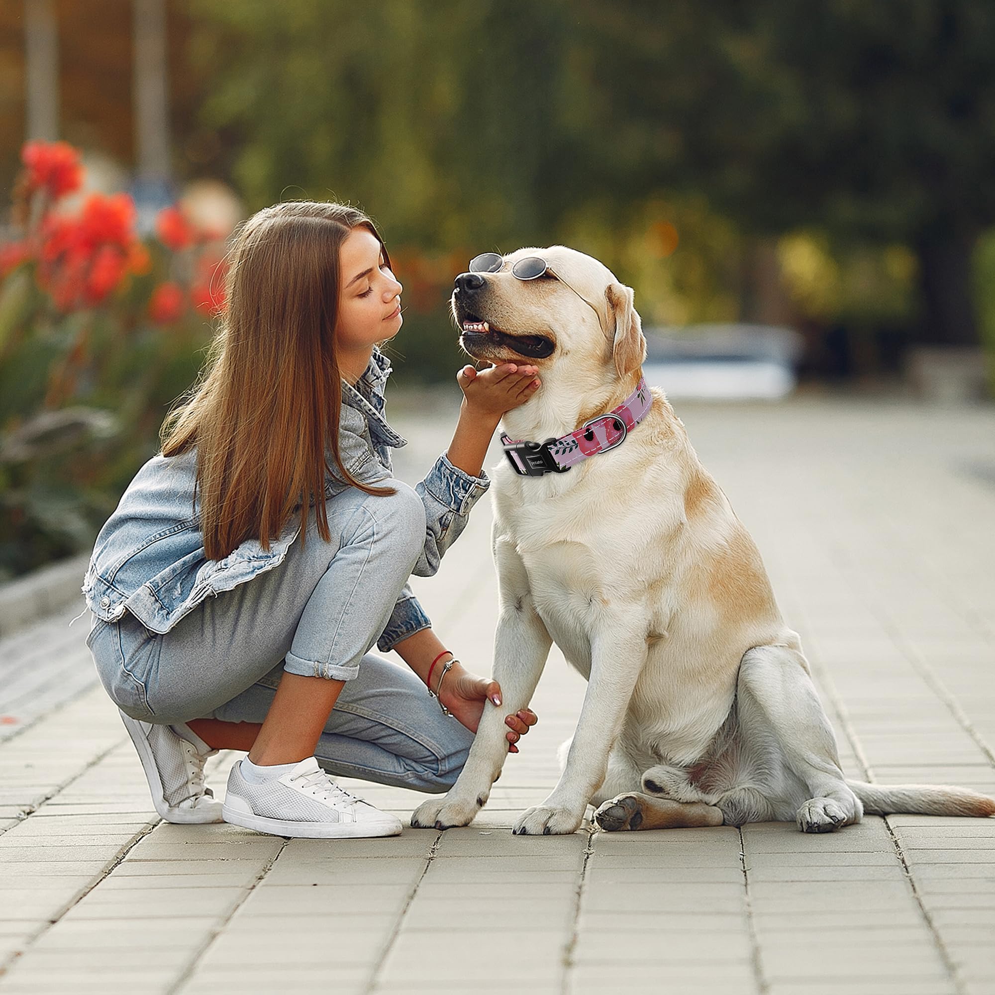 Tpotato Hundehalsband Mit Blumenmuster – Reflektierend, Verstellbar, Weich (Größe M)