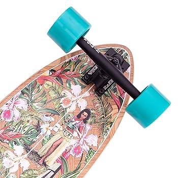 Amazon | Z-Flex Skateboard - Banana Train Roundtail | Z-Flex