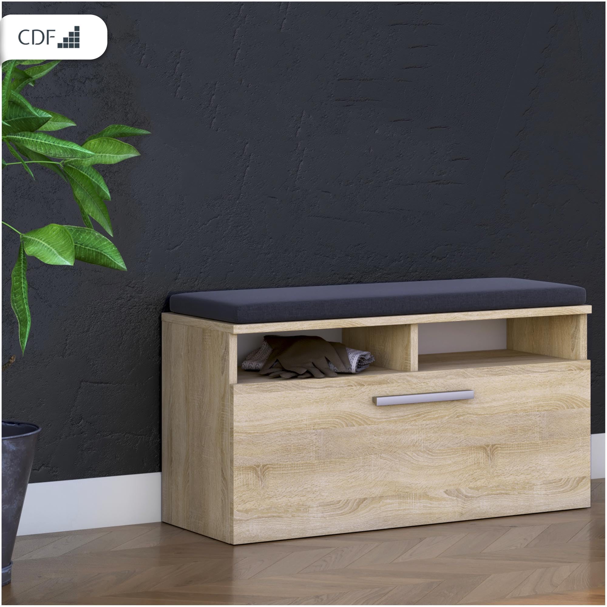 CDF Armario de zapatos Riva | Color: roble Sonoma | Ideal para pasillo, pasillo, oficina | Almacenamiento | Asiento cómodo (cojín) | Moderno | Puerta batiente