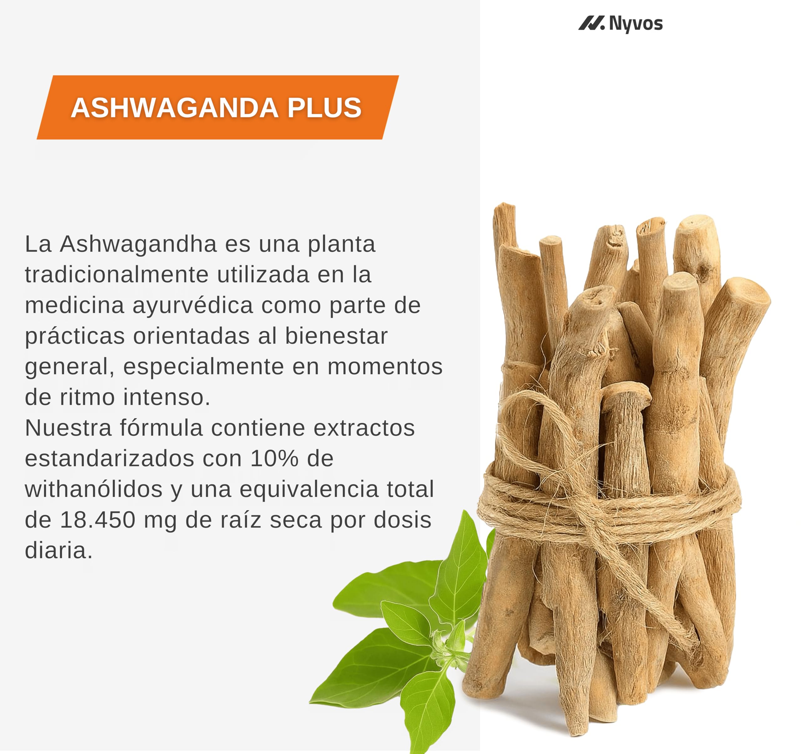 Ashwagandha Extracto 50:1 10% Withanólidos, Calma y Descanso - 120 Cápsulas | Relajación y bienestar diario, raíz de Withania somnifera, 18.450 mg equivalentes por dosis, adaptógeno puro sin estimulantes