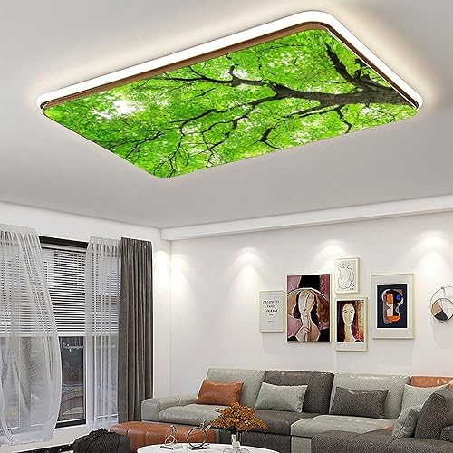 Miniatura 5 de 2 cubiertas de luz fluorescente para luces de techo, nubes y cielo, cubiertas magnéticas de luz con 10 imanes, filtros de luz fluorescentes para