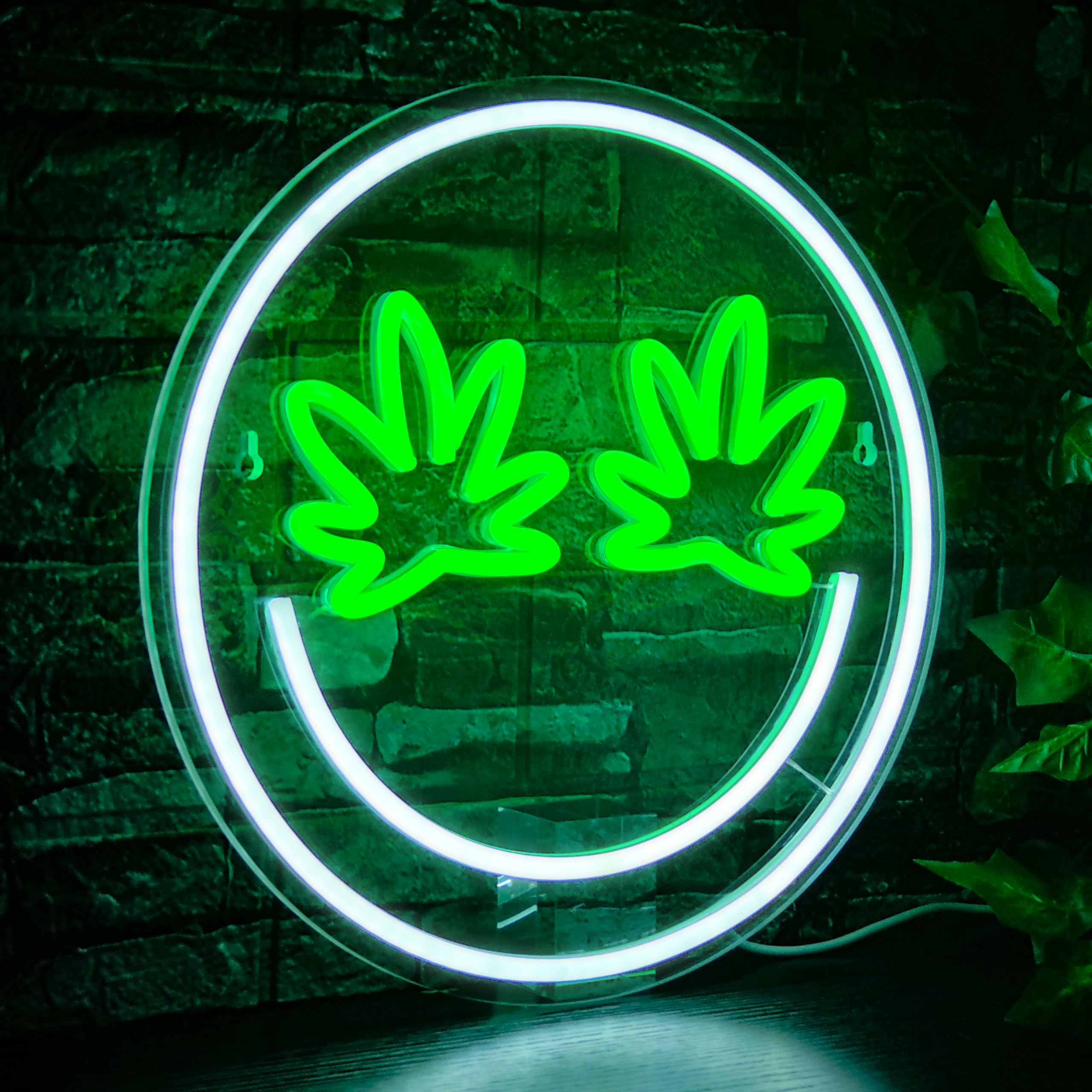 Panneau lumineux néon LED pour décoration murale, alimentation USB pour salle de jeux, bar, cave, club, pub, fête