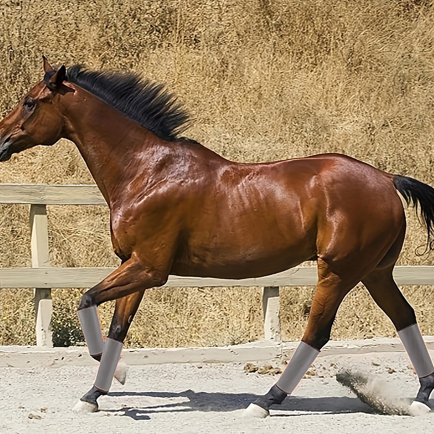 Ghette Antimosche Traspiranti per Cavalli - Confezione da 4, Stinchiere Cavallo Equitazione, Adatte a Proteggere Le Zampe dei Cavalli da Fastidiose Mosche, Zanzare e Altri Insetti Nocivi