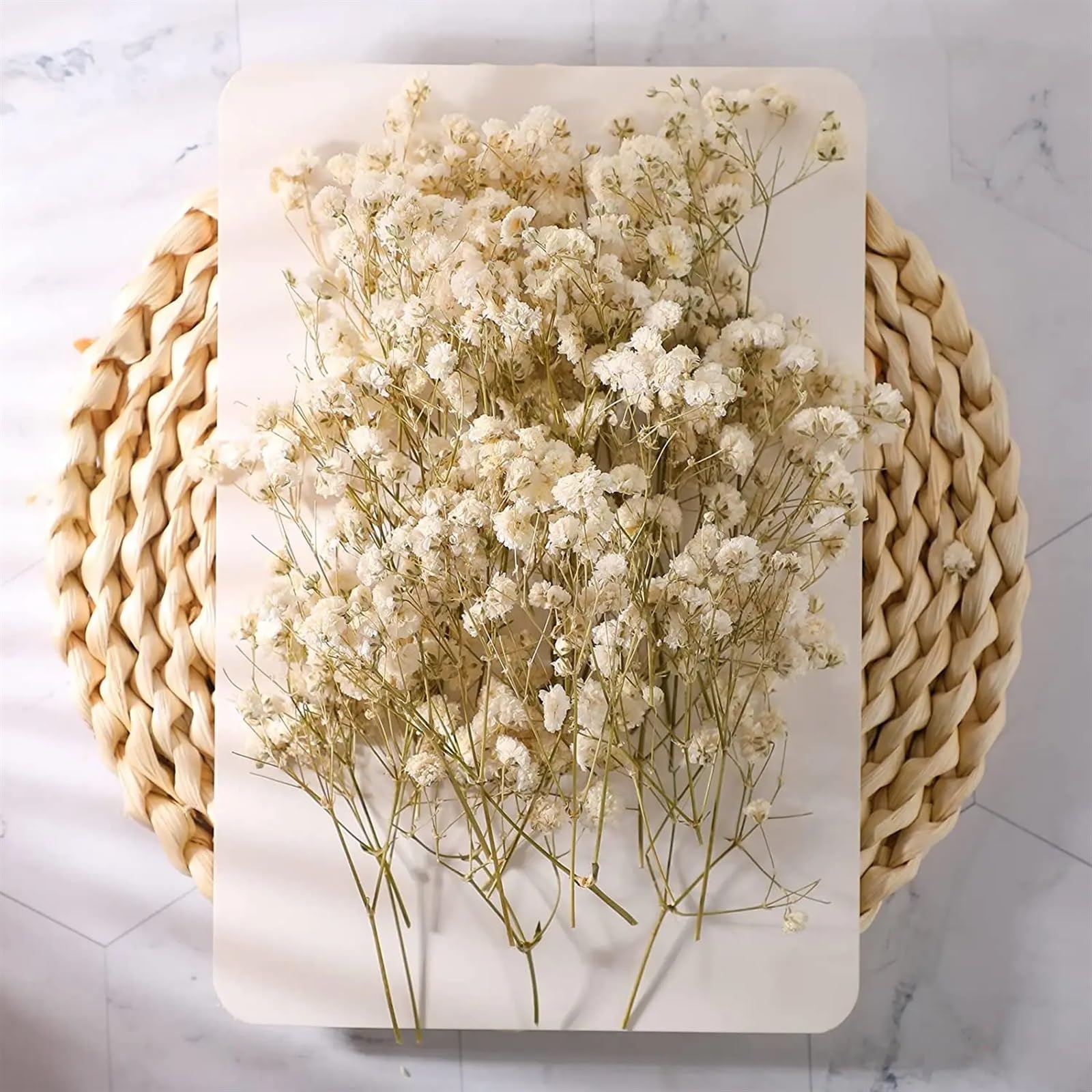 Fleurs Séchées Lot de 50/200 Mini Fleurs séchées Naturelles Ivoire for Vase, Mariage, Maison, Bureau, fête, Jardin, Fabrication de Cartes, décoration(200pcs)
