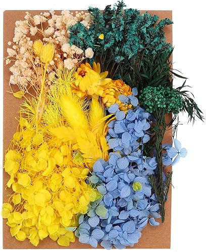 PATIKIL Flores prensadas para manualidades, flores secas a granel, flores prensadas naturales, hojas para resina, jabón, vela, álbumes de recortes,