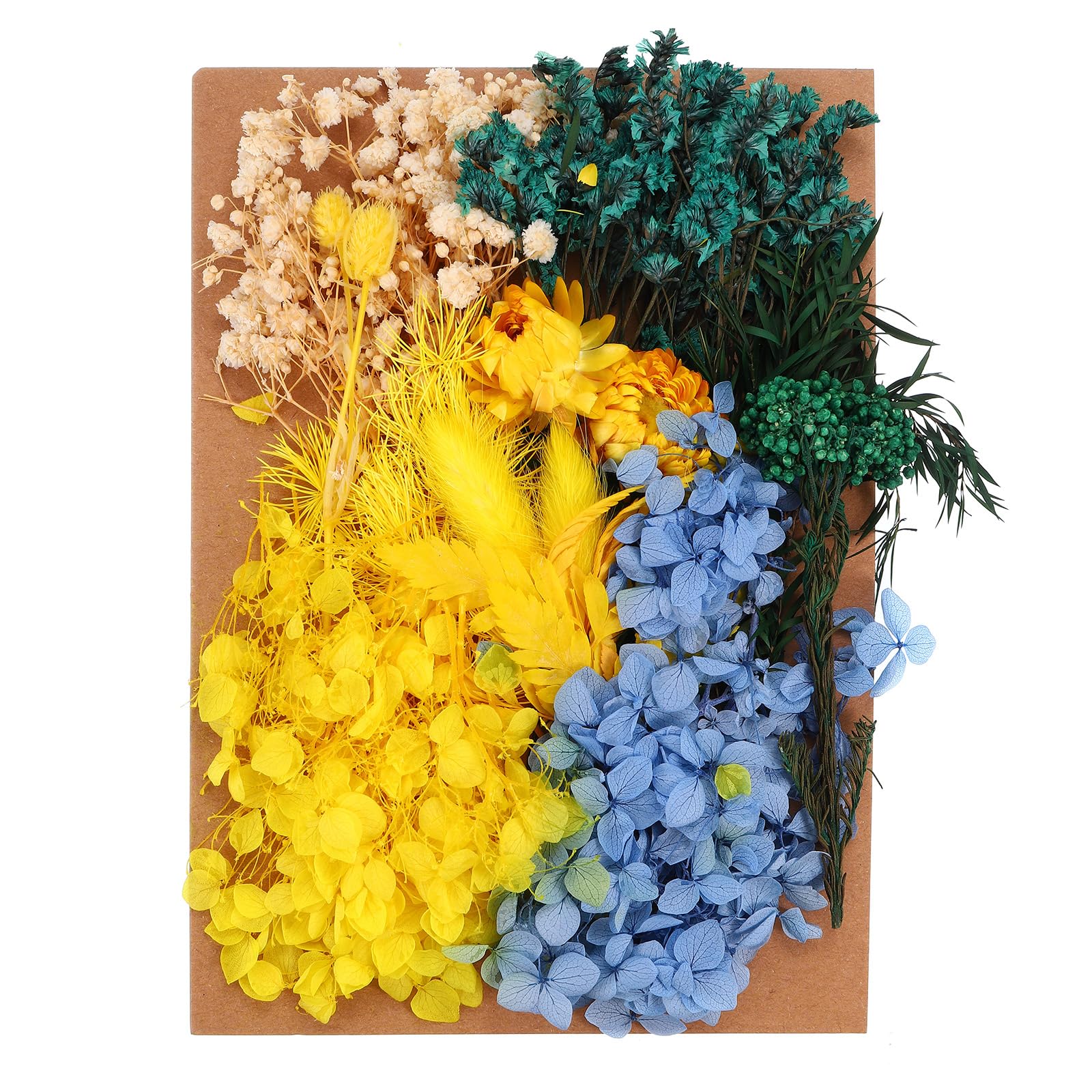 PATIKIL Dried Flowers for Craft Bulk Natural Pressed Flowers Leaves for Resin Soap Candle Scrapbooking DIY Gift Papermaking, Multicolor