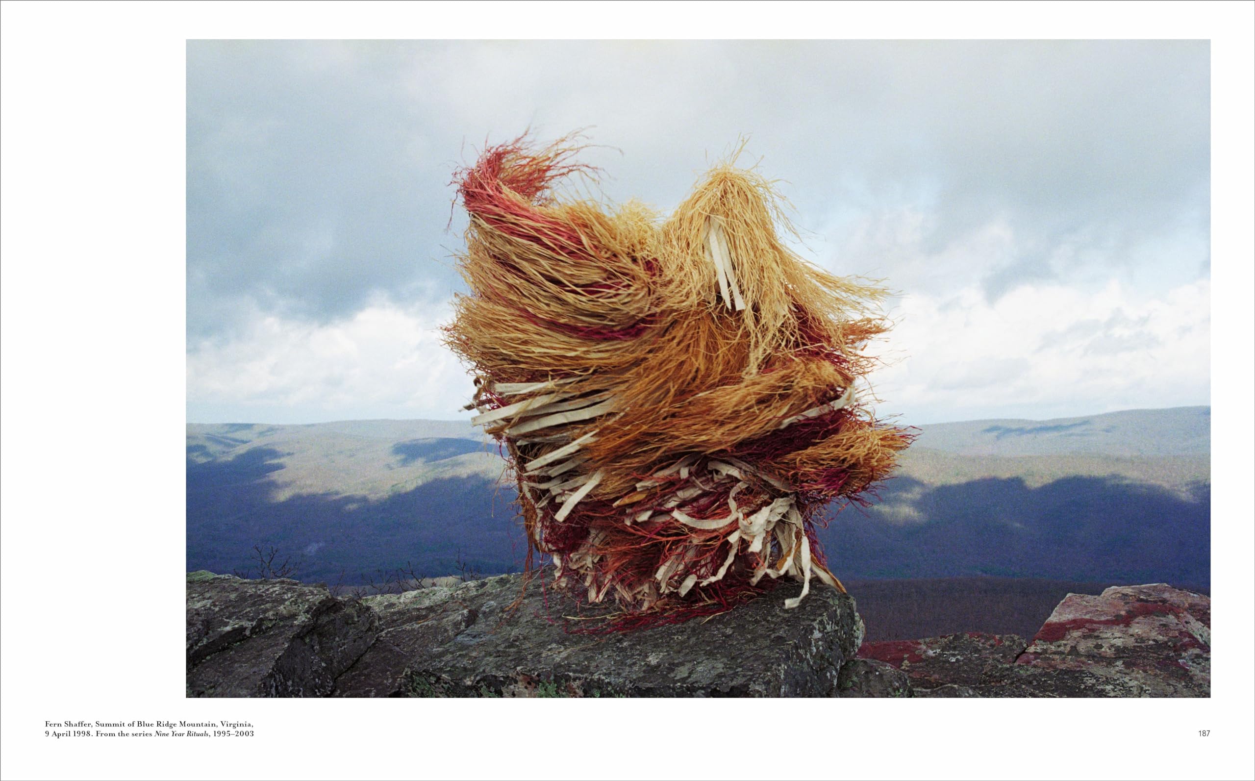Re/Sisters: A Lens on Gender and Ecology