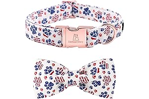 Lionheart Glory American Flag Dog Collar for Patriotic Celebrations