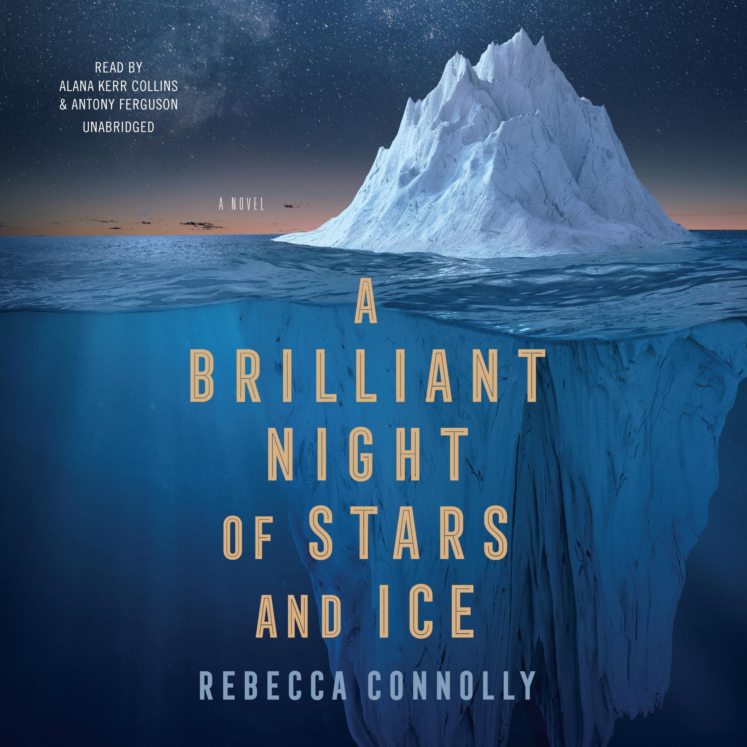Cover art for A Brilliant Night of Stars and Ice