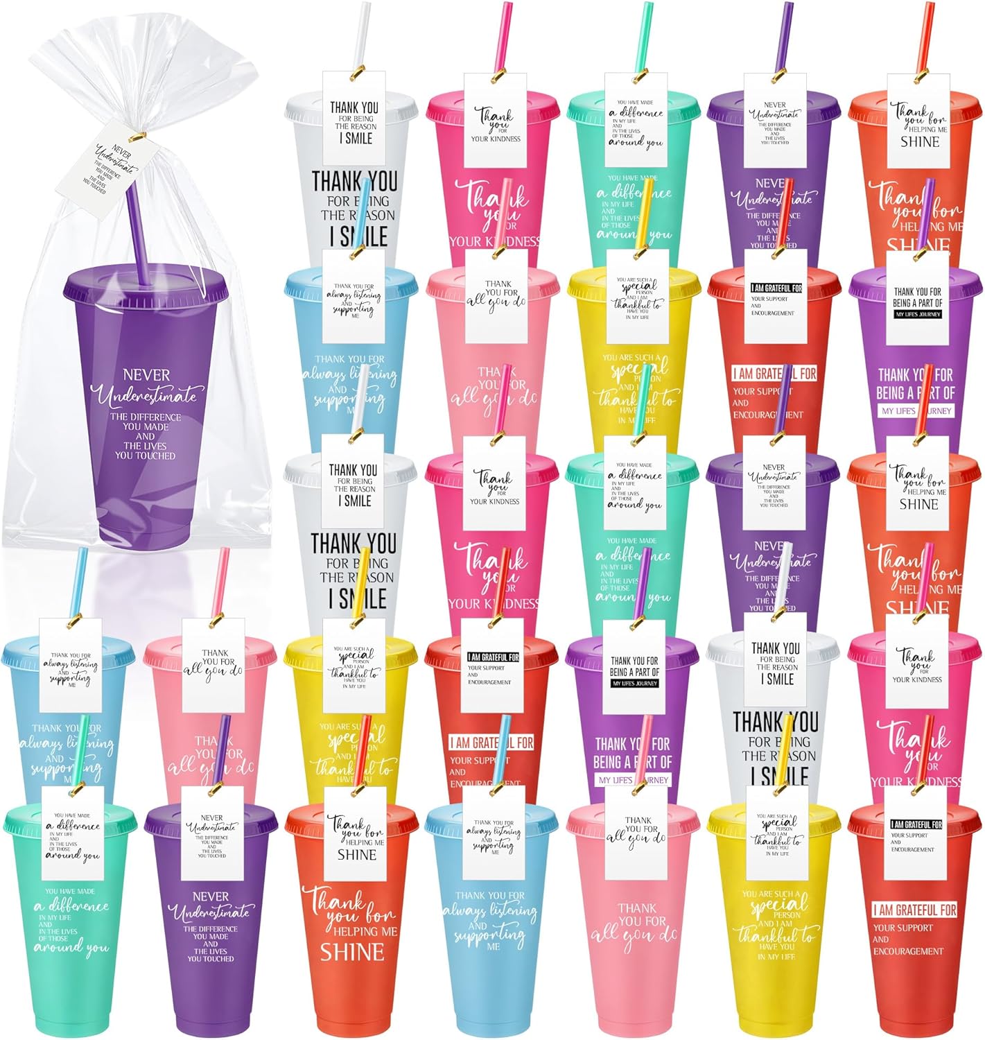 Skylety 30 Pcs Valentine Galentine Employee Appreciation Gift Bulk 24 oz Plastic Tumbler Cup with Lids Straws Thank You Cup Bulk for Coworker Team Teacher Nurse Volunteer(Thanks,Assorted Colors)