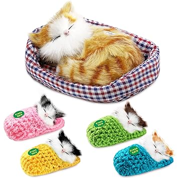 cat toys amazon india
