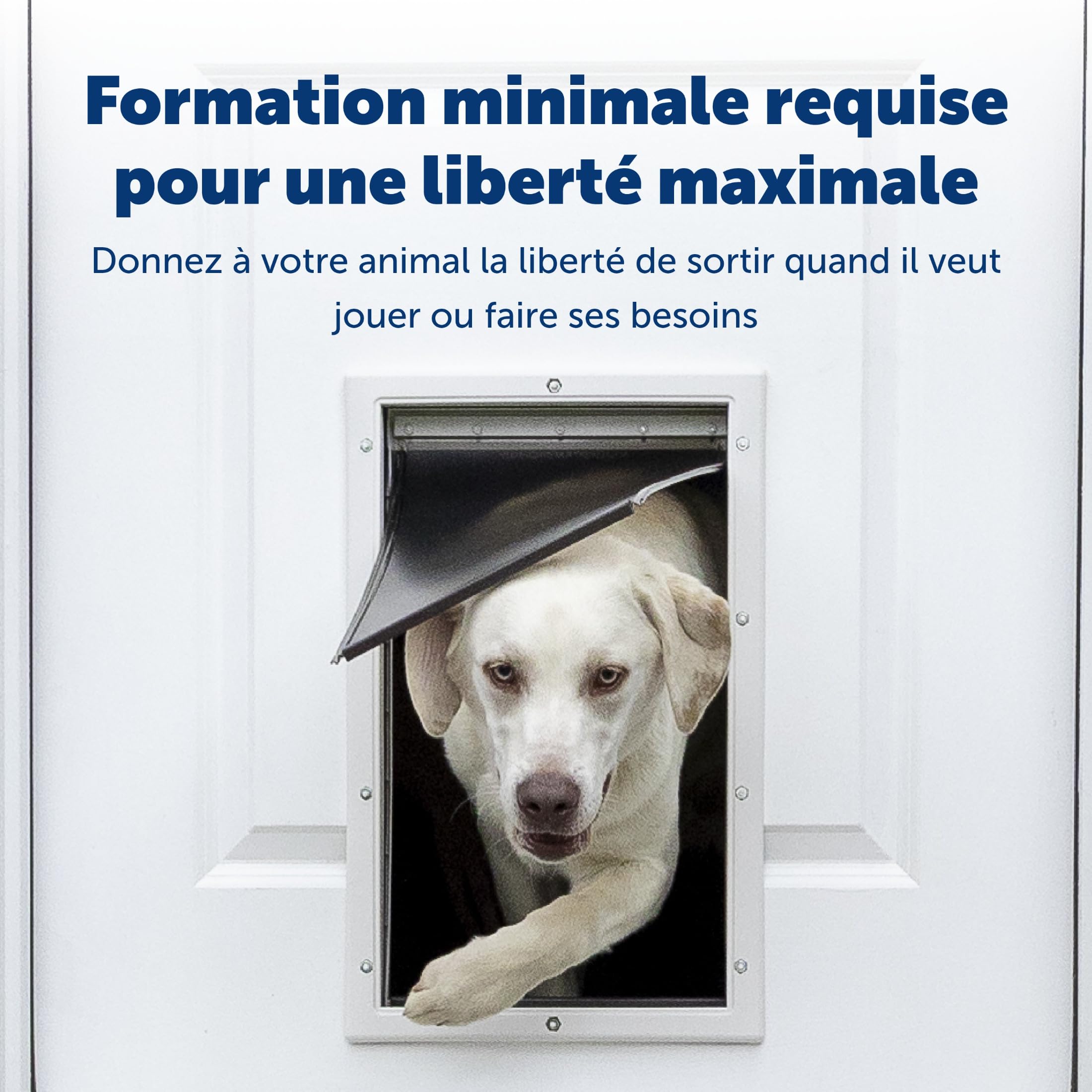 PetSafe - Porte pour Animaux de Compagnie en Aluminium - Cadre Durable, Joint Résistant aux Intempéries, Installation Facile au DIY - XL