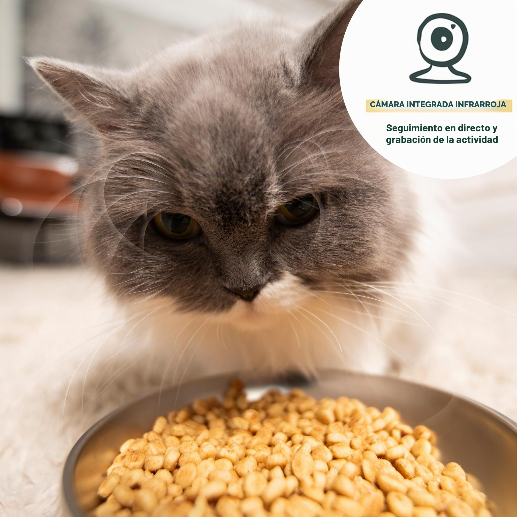 Banddit – Dispensador de croquetas inteligente de pesca – Seguimiento dietético para gatos y perros pequeños – Programación hasta 15 comidas – Cámara HD & Micro – Depósito hermético 4L