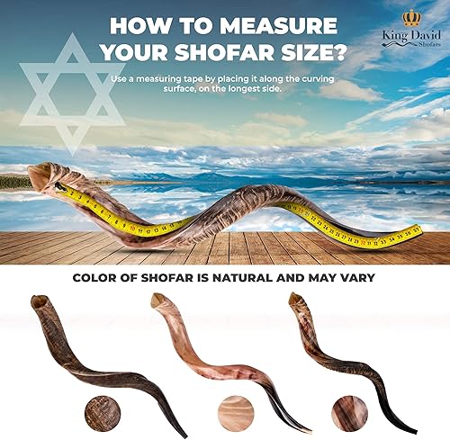 Miniatura 4 de Kudu Shofar - Instrumento musical de cuerno soplado judío kosher de Israel, instrumento musical de Kudu Shofar Angels, medio pulidonatural (juego