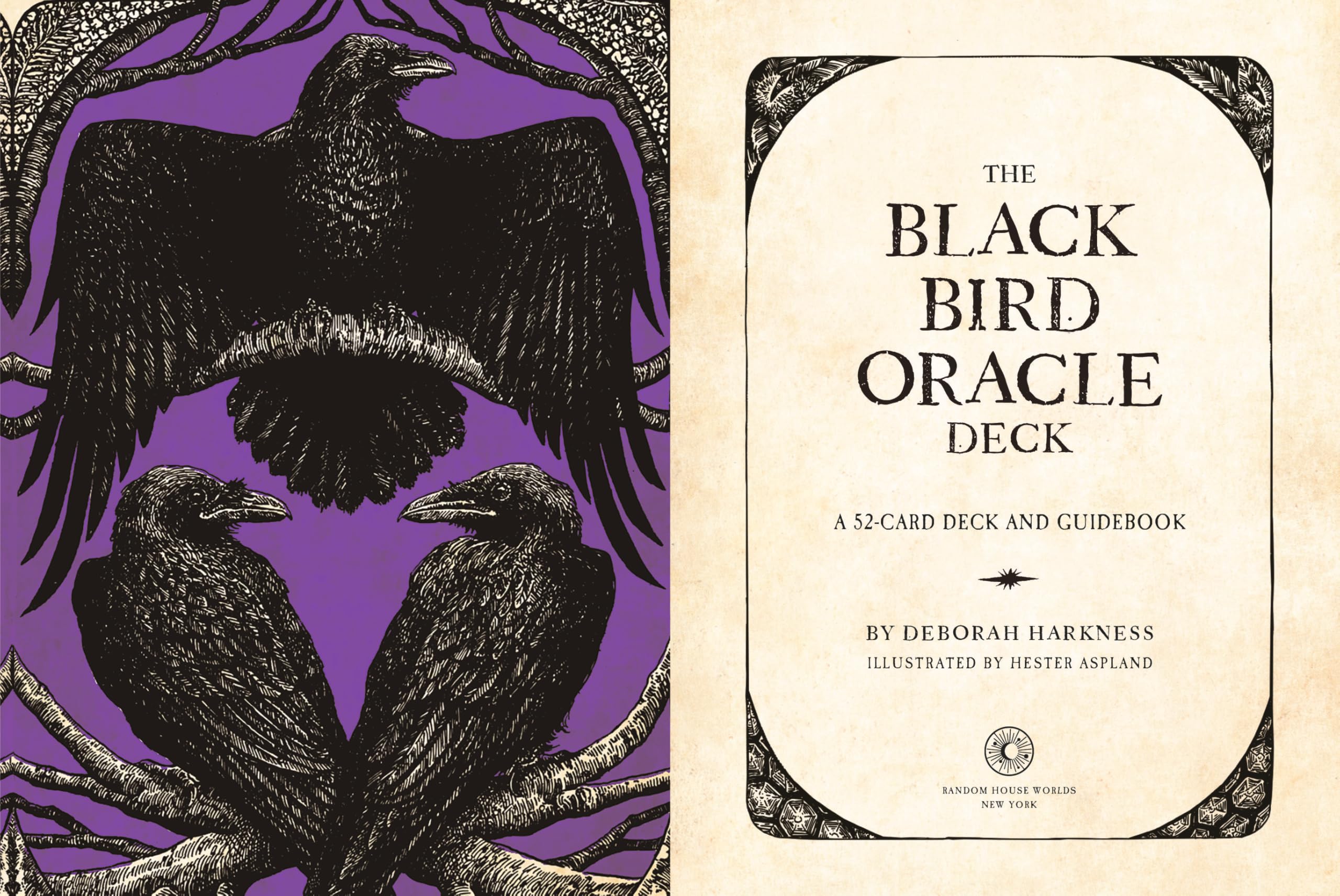 The Black Bird Oracle Deck: A 52-Card Deck and Guidebook