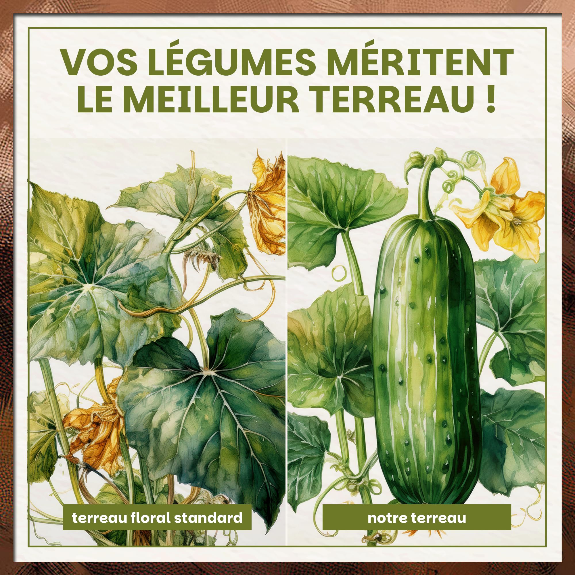 Green Home Terreau Tomates & Potager 72L – terreau-Potager enrichi pour tomates, poivrons, concombres et courgettes – substrat prêt à l’Emploi pour bac surélevé, jardinière ou Pot