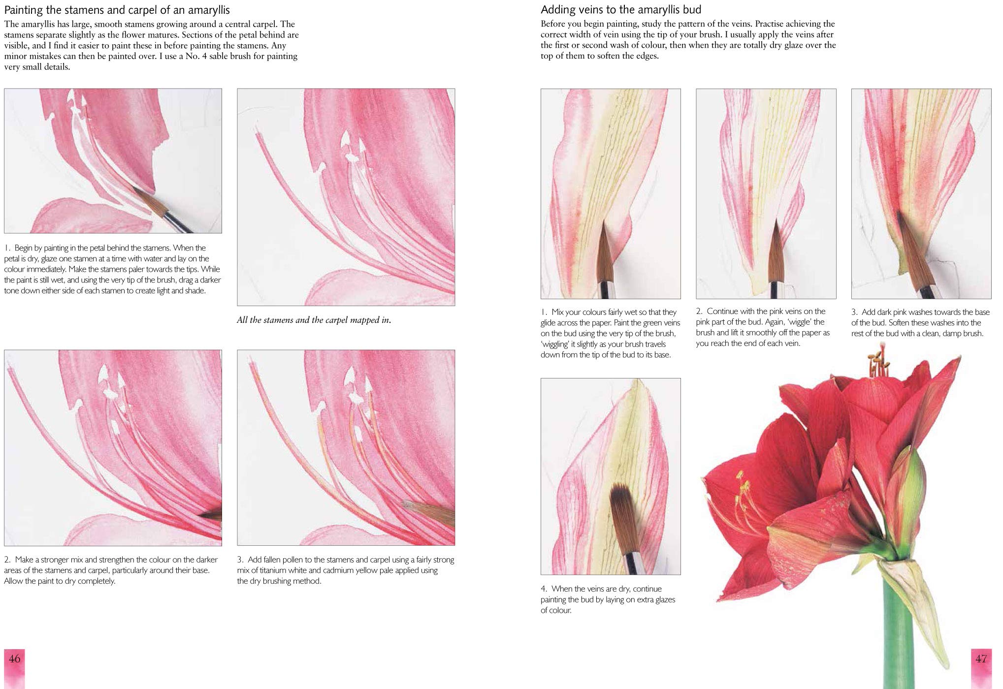 Watercolour Flower Portraits