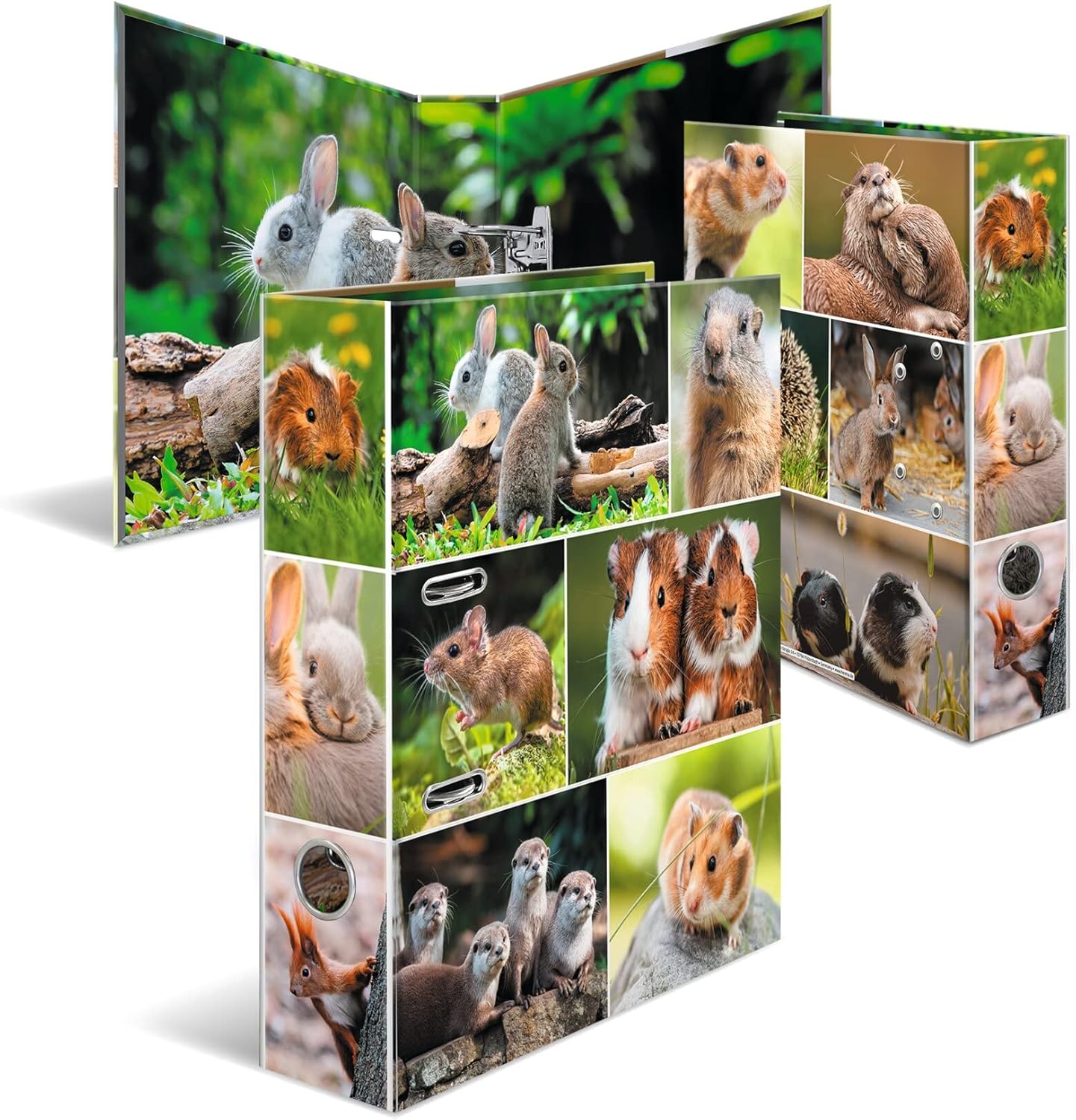 HERMA 19256 Folder DIN A4 Animal Worlds Set of 10, 7 cm Wide, Sturdy Cardboard, Coloured Outer and Inside Print in High-Quality Design, Ring Binder, Lever Arch File, Office Folder, Motif Folder