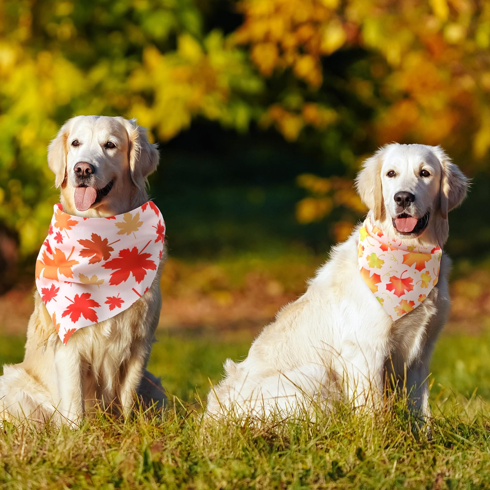 Chunful Herbst-Hundehalstücher mit Ahornblatt-Muster, Dreieckstuch für kleine und große Hunde, Kostümzubehör (31,5 x 21,7 x 21,7 x 21,7 cm), 100 Stück