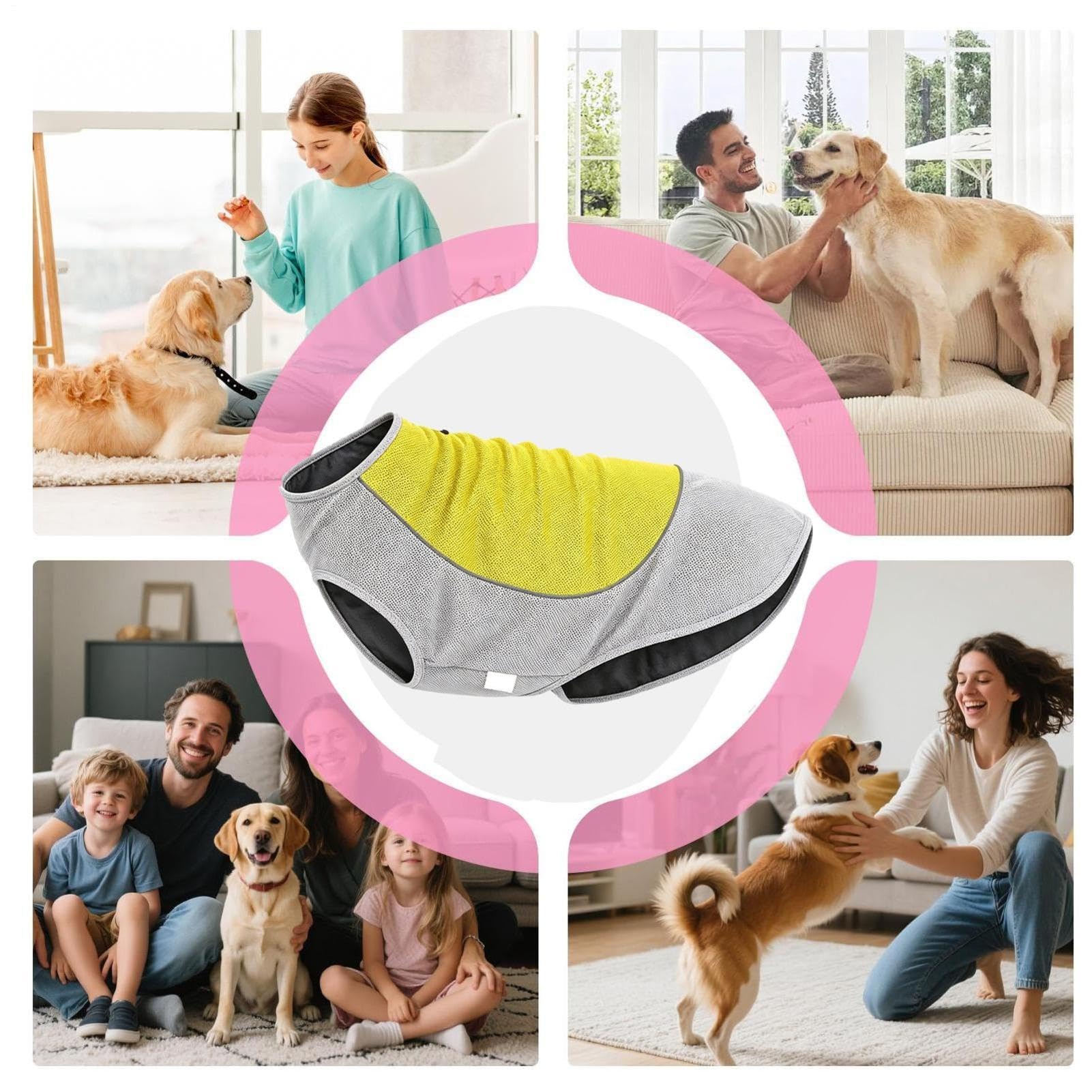 Gilet rafraîchissant pour chien avec poche à glace, respirant et