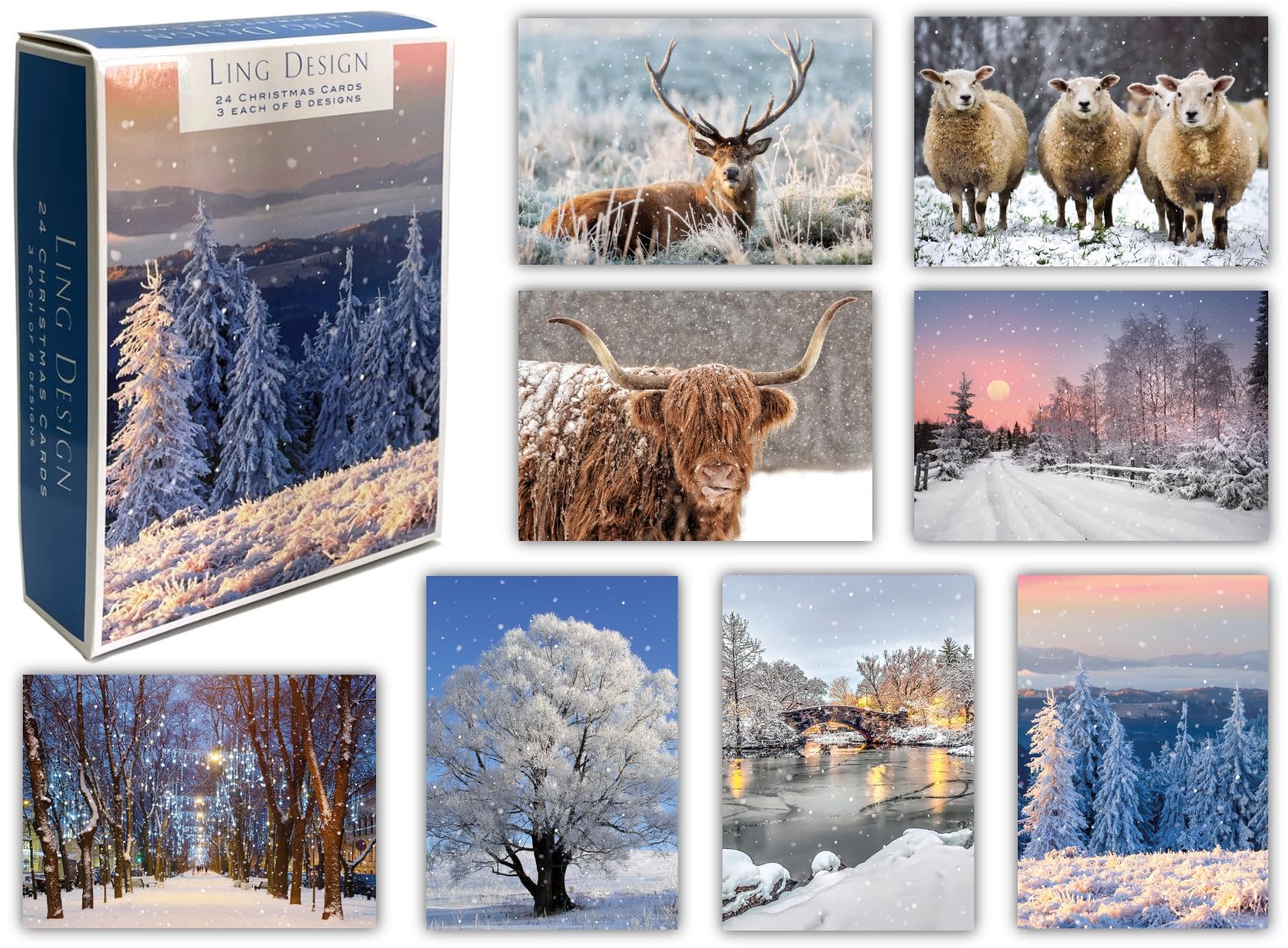 Winter Wonderland Photographic Scenic Premium Box of 24 Assorted Christmas Cards, 3 Each of 8 Designs