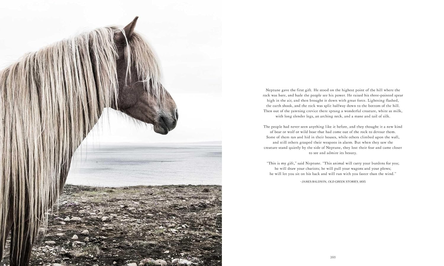 Horse Country      Hardcover – May 26, 2026