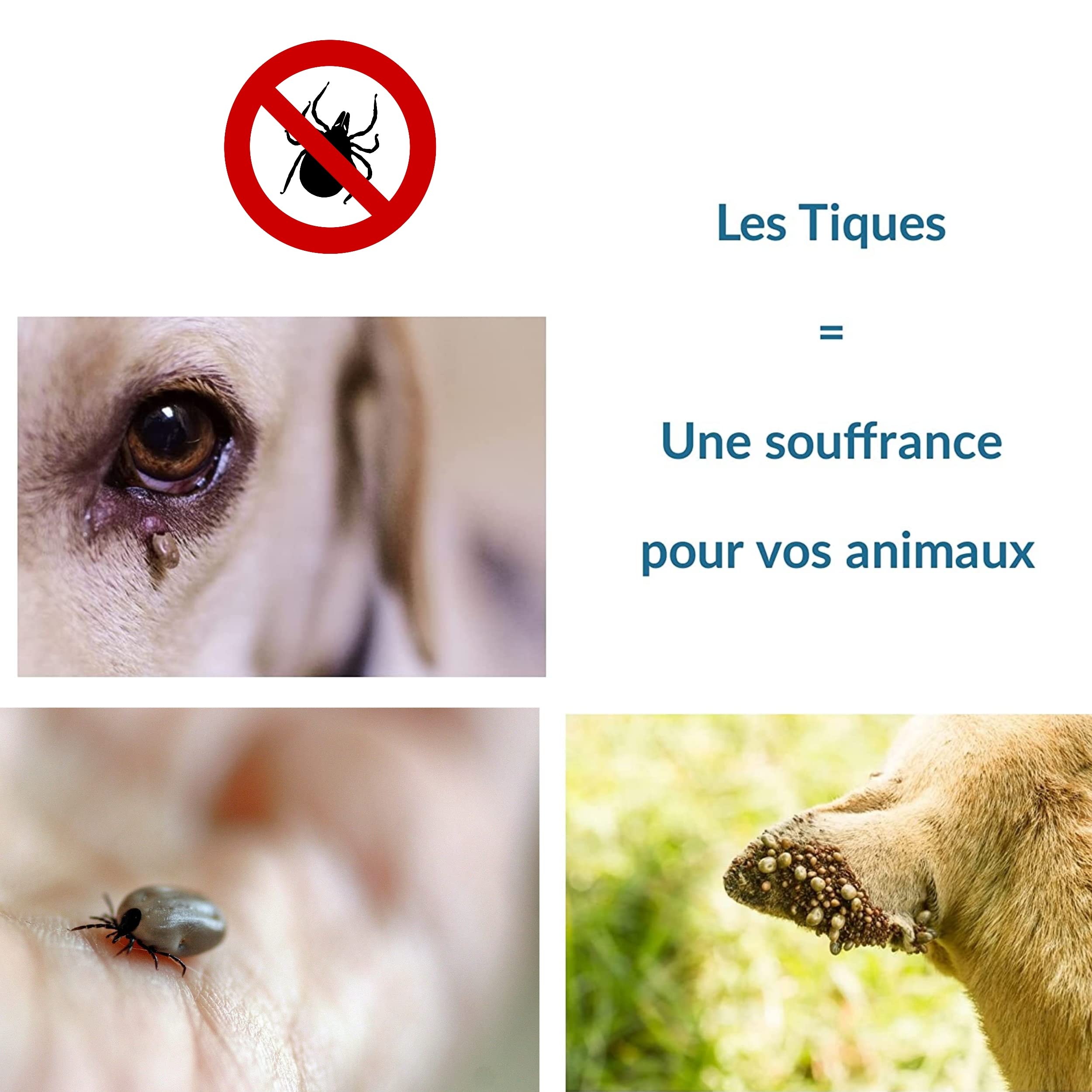Tire Tique Pince a tique et crochets anti tiques pour chat chien humain. Crochet en acier inoxydable Retire/enlève/supprime/attrape parasites Kit de 2 lots de 3 pcs crochets pinces anti tiques vert