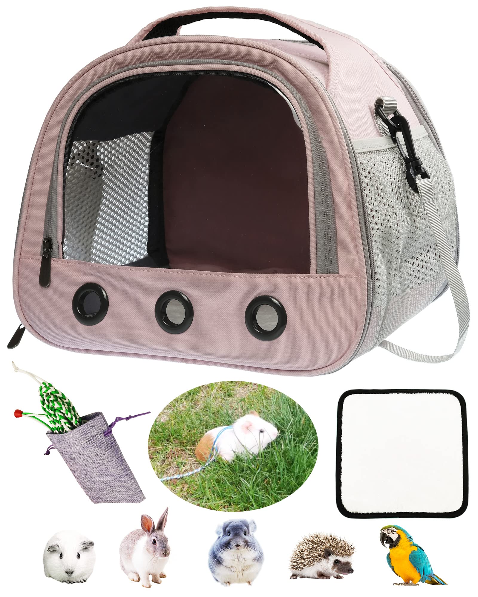 Buy EVISTTER Small Animal Carriers,Guinea Pig Carrier for Two,Upgraded