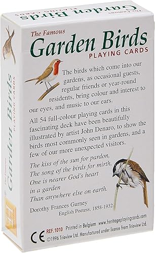 Miniatura 2 de Jardín pájaros jugando a las