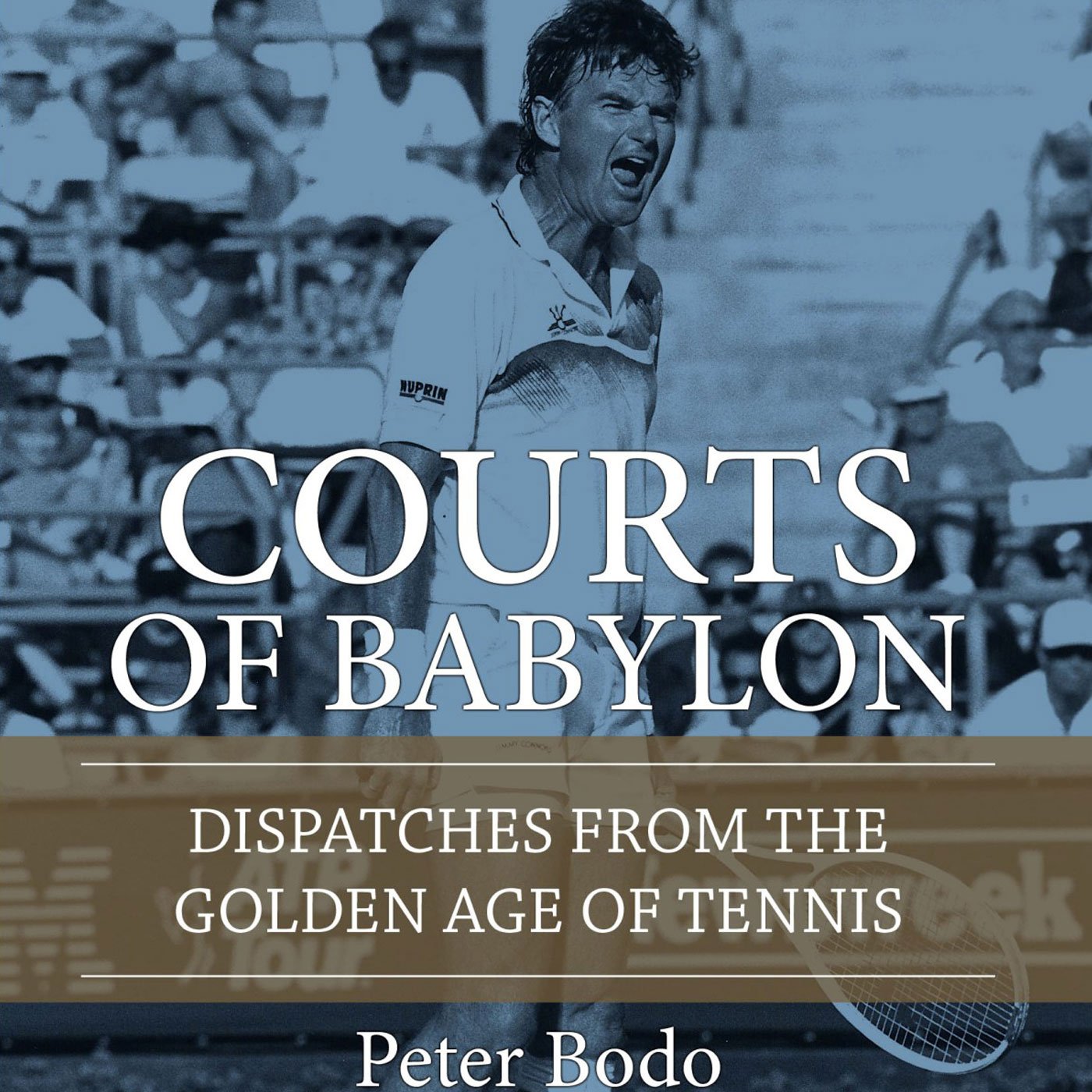 Cover art for The Courts of Babylon