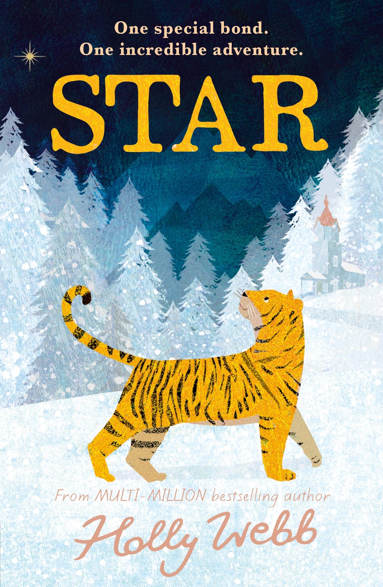 Star (Winter Animal Stories) By Holly Webb. 9781788953290