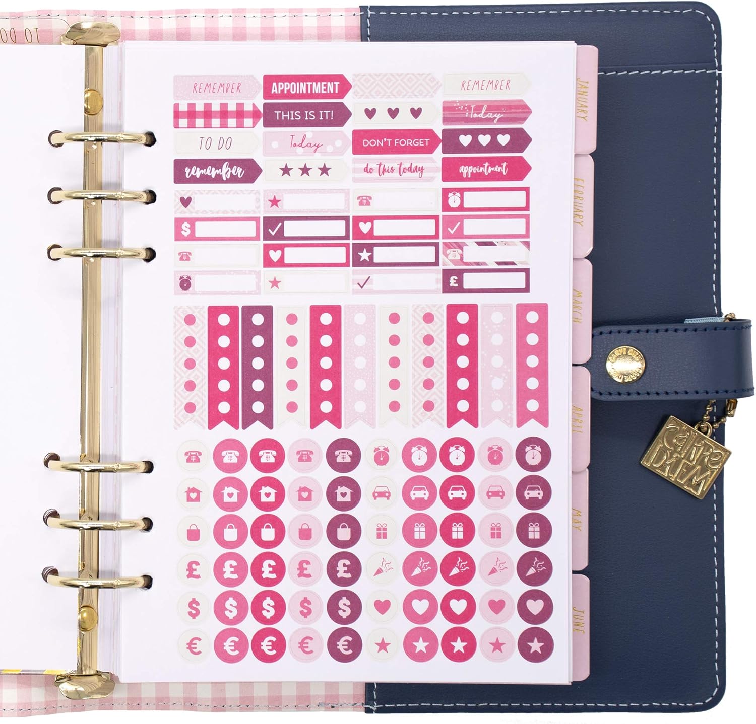Pukka Pad, Carpe Diem A5 Planner with Weekly, Monthly Undated Inserts, 10 X 9.5 X 2 Inches, Disty Floral