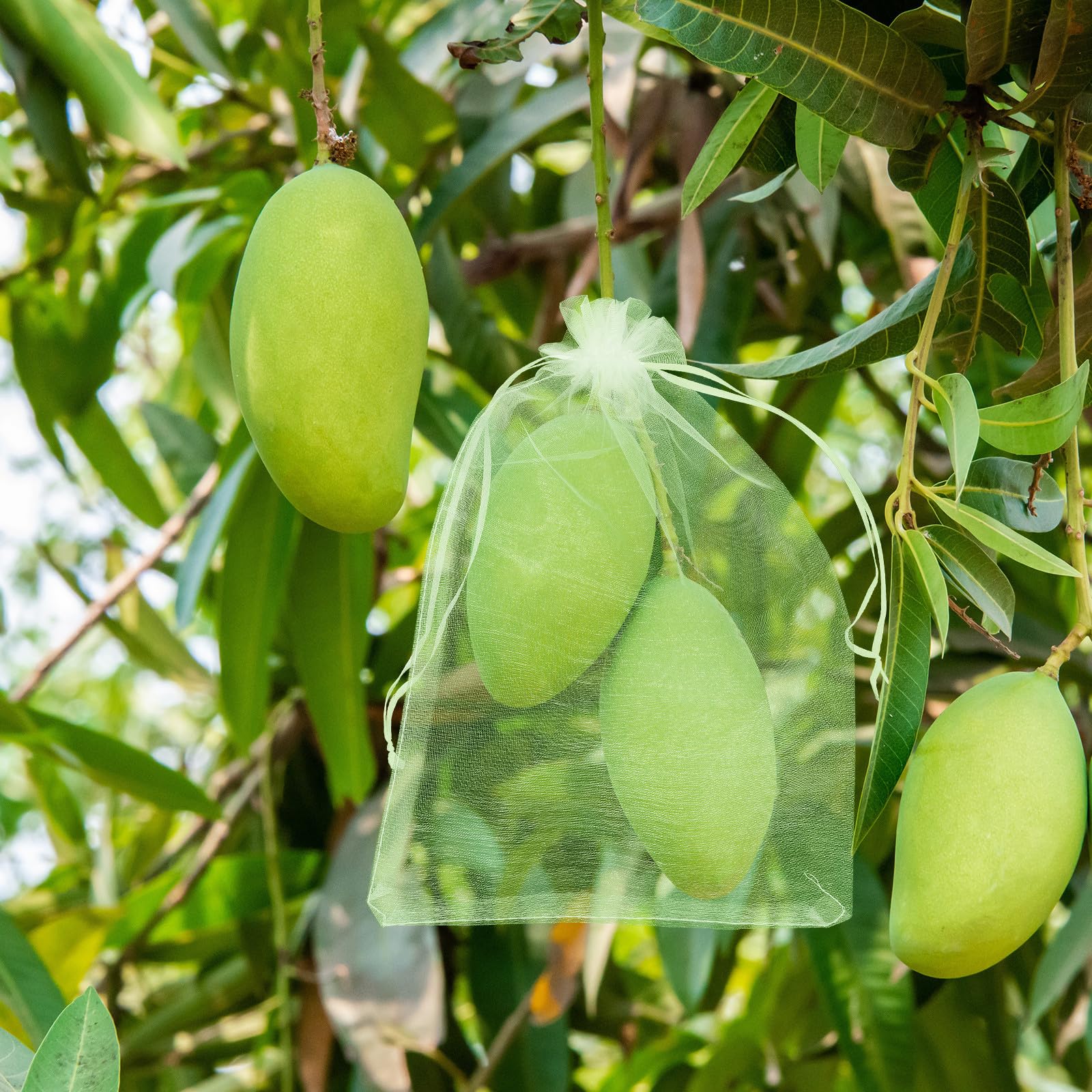 DECHOUS Bolsas Protectoras para Frutas y Verduras 100 Unidades 10x15 Cm Malla Verde Resistente para Cultivo Jardín Protección contra Aves E Insectos Saco Guardería para Uvas y Plantas