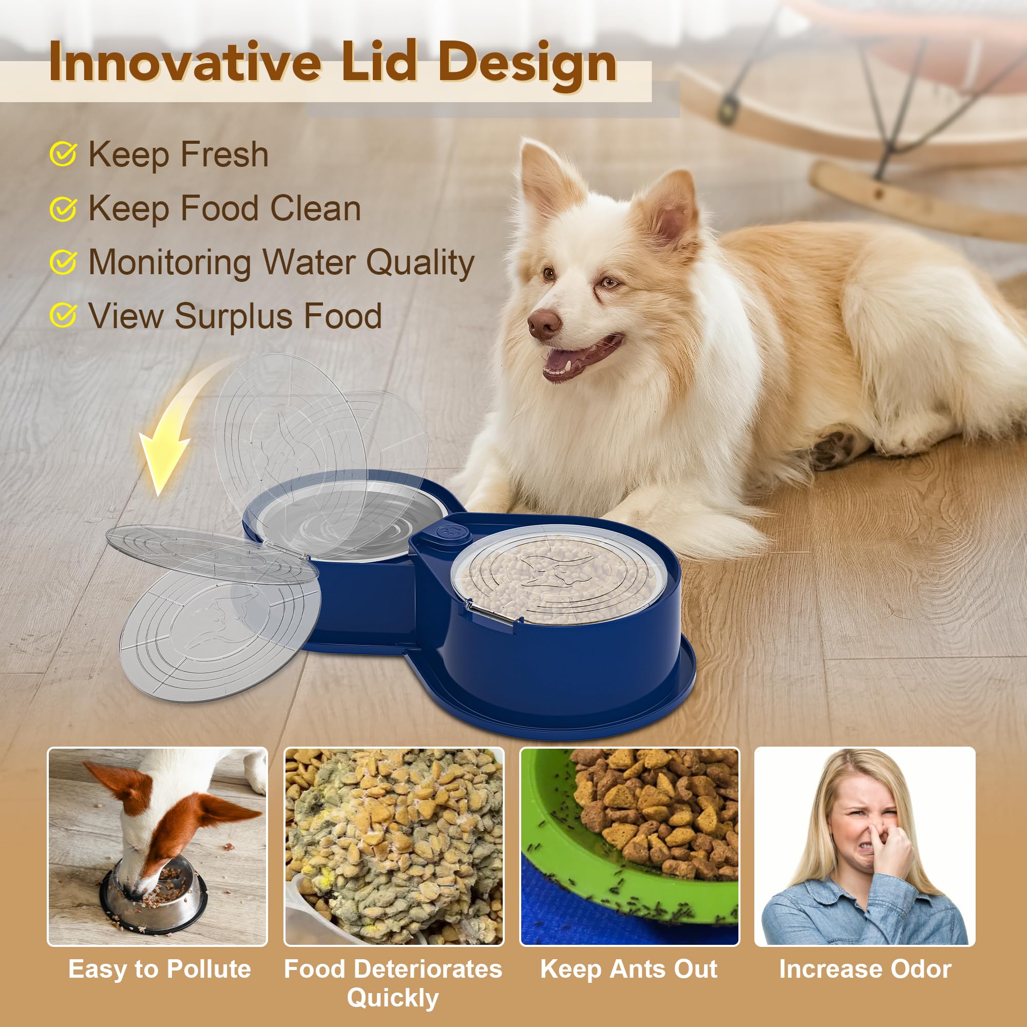 Cuenco doble de acero inoxidable para mascotas con tapa, gran capacidad, perros y gatos, color azul