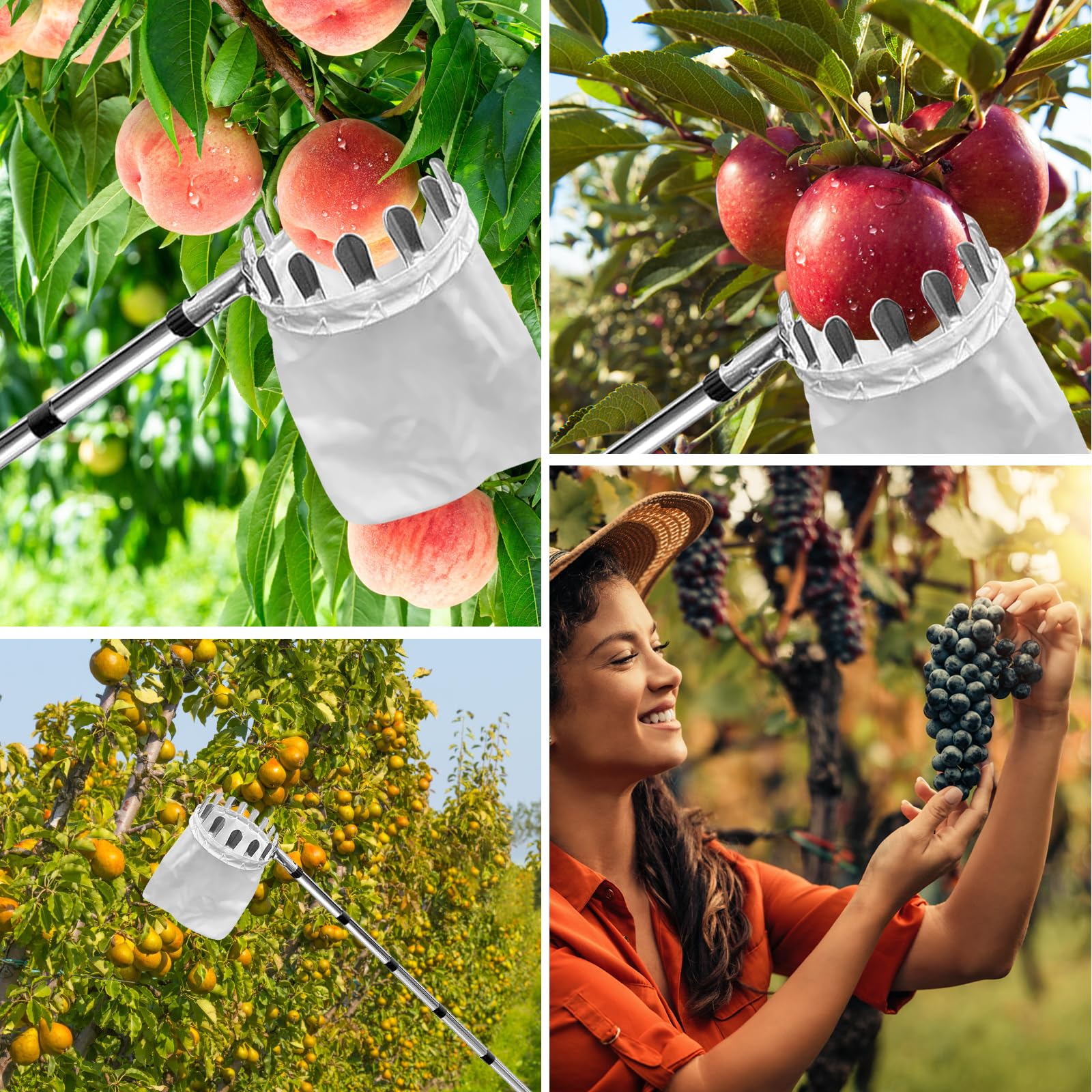 POFIBO Raccogli Frutta Telescopico, 2.2m Raccogli da Frutta con Manico Telescopico Raccogli Fichi Raccoglitrice Mele Ausilio per la Raccolta di Ciliegie Mele Prugne Alberi da Frutto