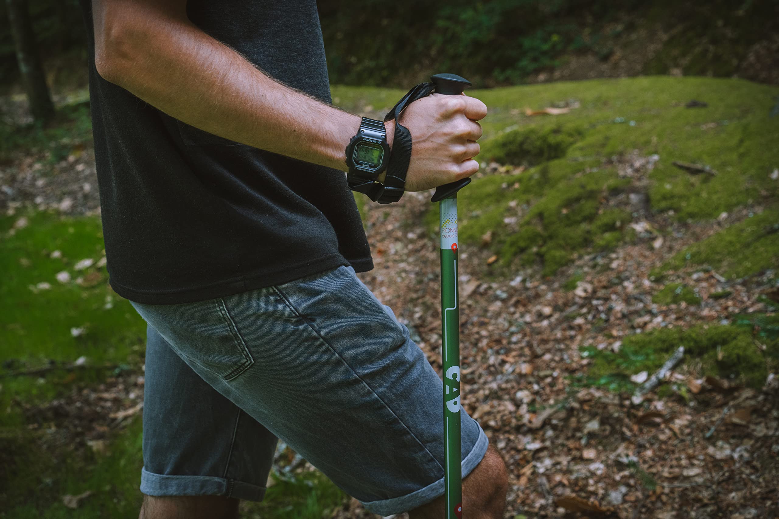 Cao Camping - Coppia di Bastoncini da Trekking telescopici, Colori Assortiti