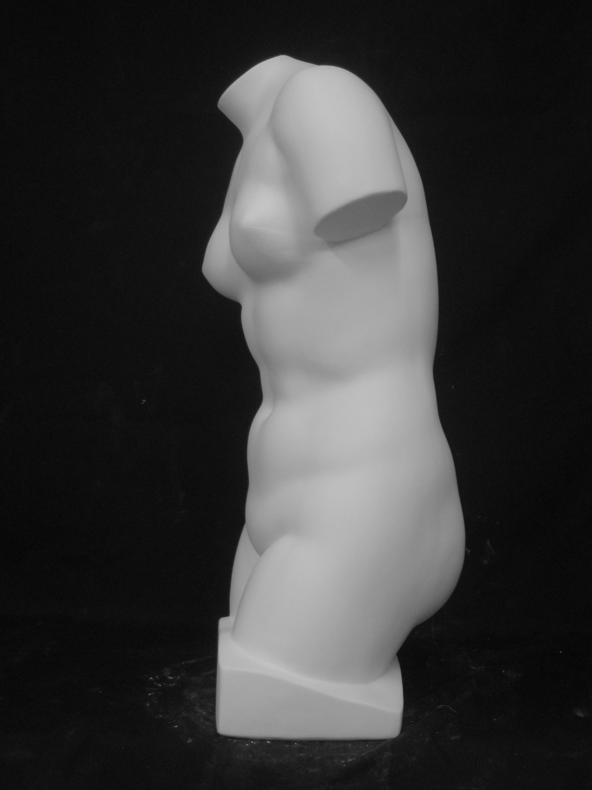 Amazon.co.jp: 石膏像 T－505 トルソー女子（小） H