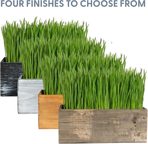 Miniatura 6 de The Cat Ladies Kit de hierba para gatos con maceta de madera rústica negra, semillas de césped orgánico para gatos y tierra. Hierba para gatos de