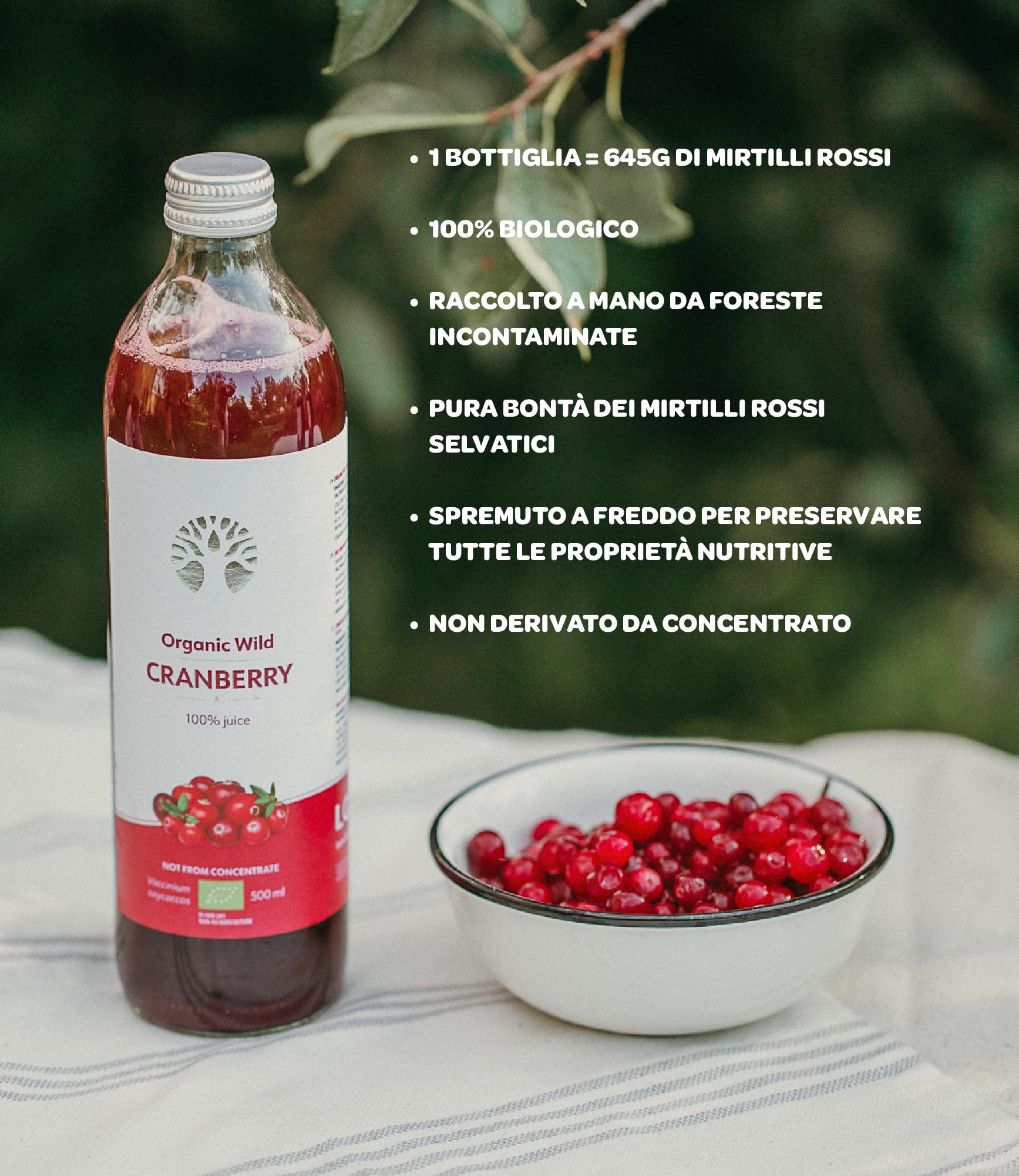 Succo di Frutta Biologico di Mirtillo Rosso Americano, 500 ml, Prodotto al 100% da Bacche Direttamente Pressate, Senza Aggiunta di Acqua o zucchero, Bacche Selvatiche Provenienti da Foreste Nordiche