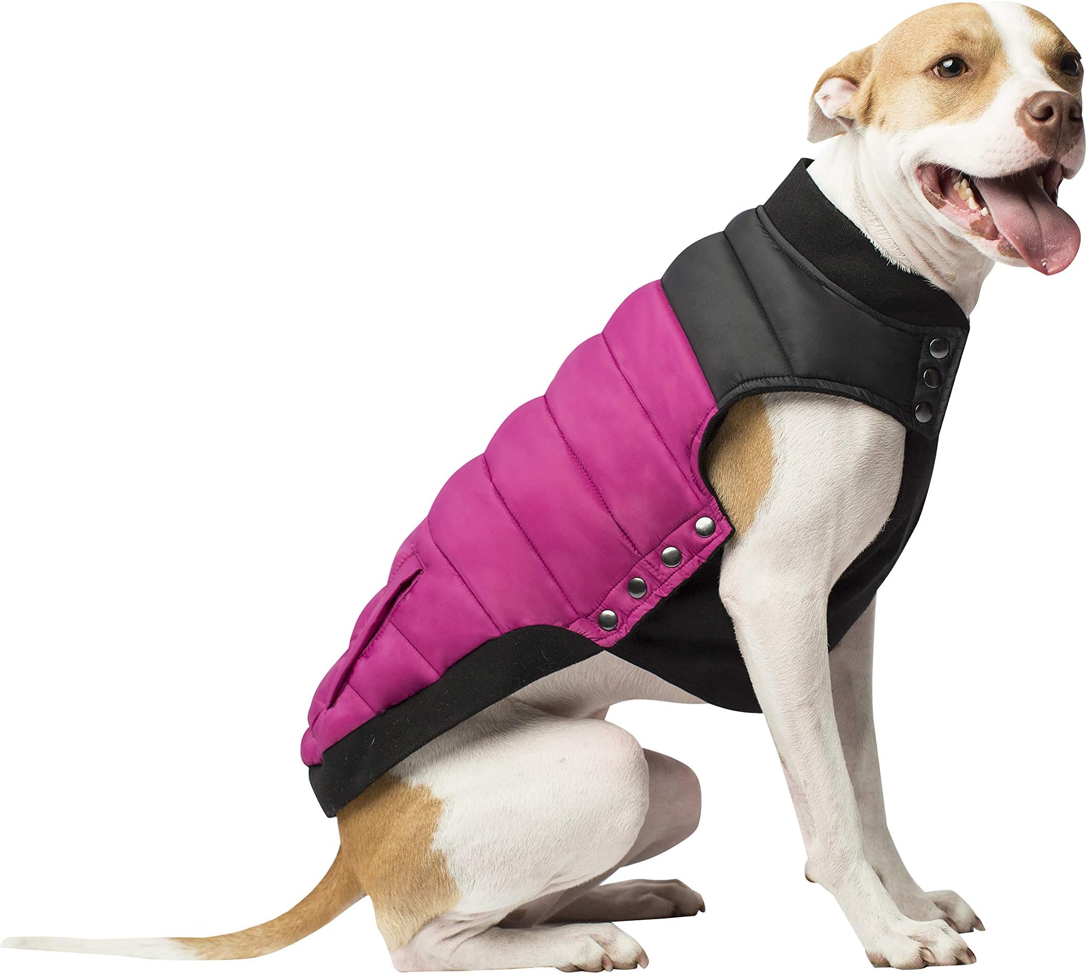 Canada Pooch Summit Stretch Vest Dog Coat, Size 14, Plum