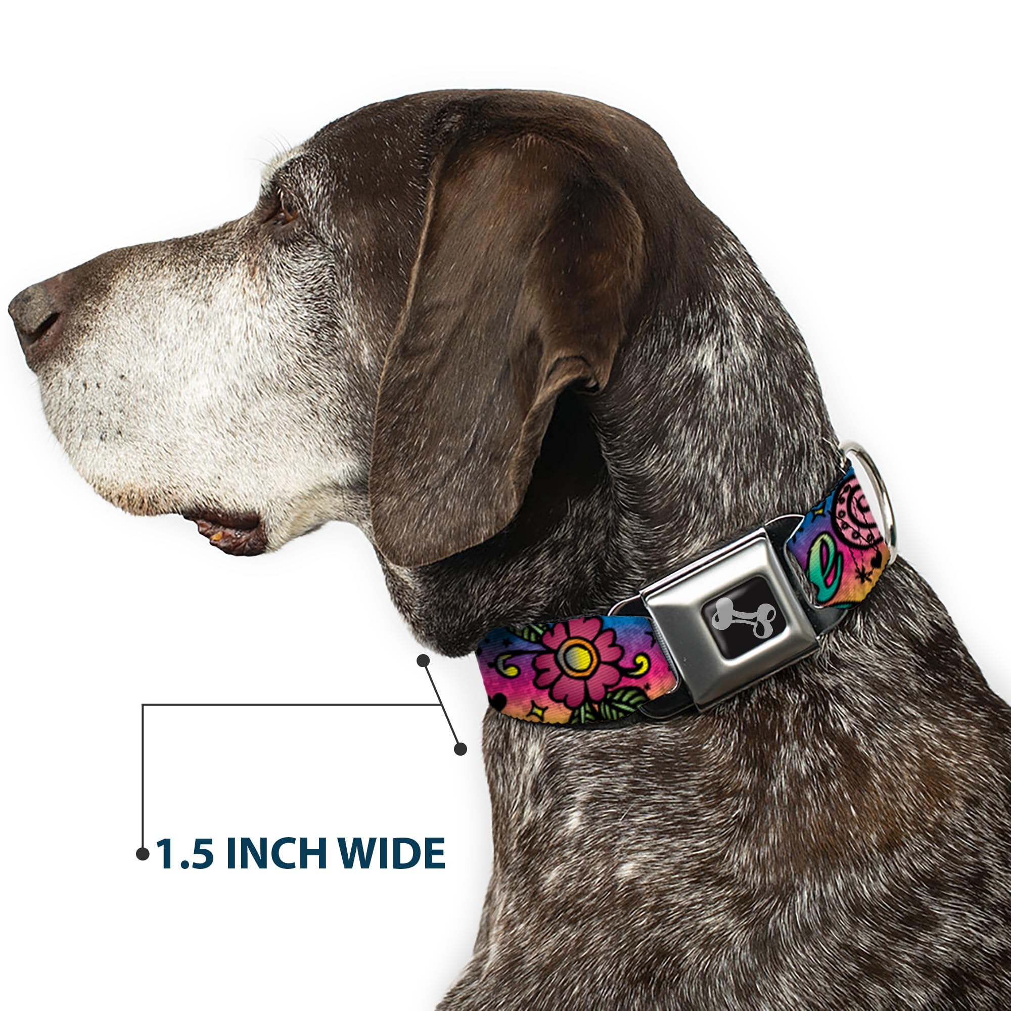 Buckle-Down Collar para Perro con Hebilla para cinturón de Seguridad, Color Morado (13 a 18 Pulgadas, 1.5 Pulgadas de Ancho, Multicolor (DC-W31214-WS)