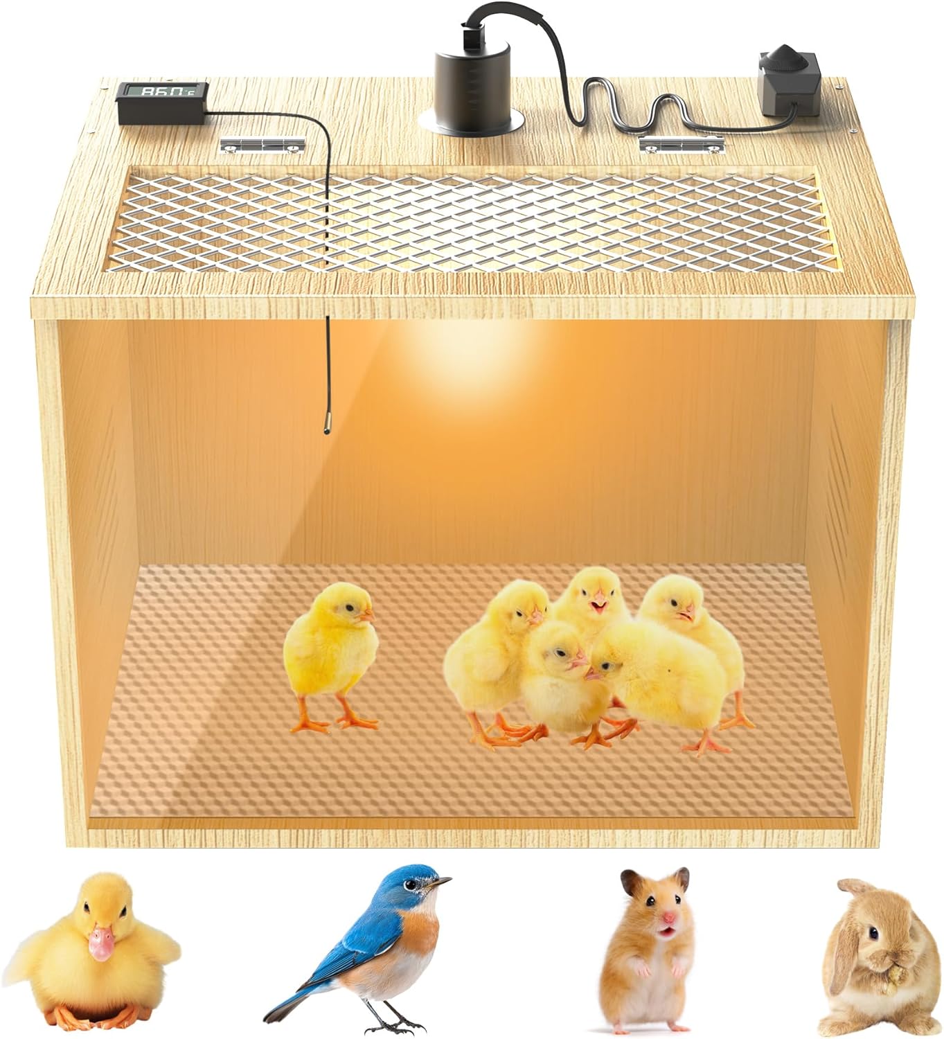 Brooder Box for Chicks, 32 Inch Wooden Large Chicken Brooder Box with 75W Heat Lamps, Thermometer, Chicken Feeder, Waterer Set, Tin Foil, Breeding Kit for 12-15 Chicks Ducks Quail with Legs