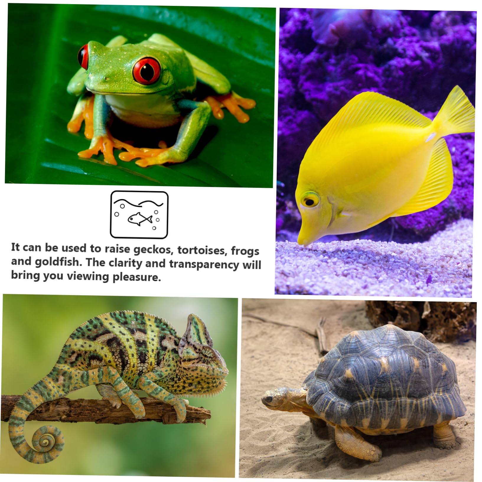 Pecera Ecológica de Vidrio en Cubo para Gecko y Reptiles | Transparente, para Decoración del Hogar, Observación Cómoda de Mascotas