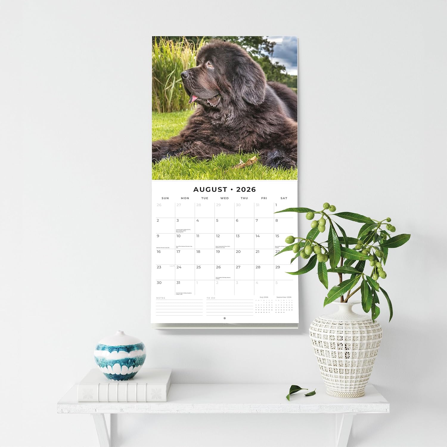 Red Robin 2026 Newfoundlands Monthly Wall Calendar | 12" x 24" Open | Premium Thick & Sturdy Paper | Hangable 12 Month Calendar | Lined Notes & To Do Area | Vivid Images | Plastic Free - Image 5