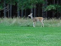 Review Image by ctennisace ctennisace