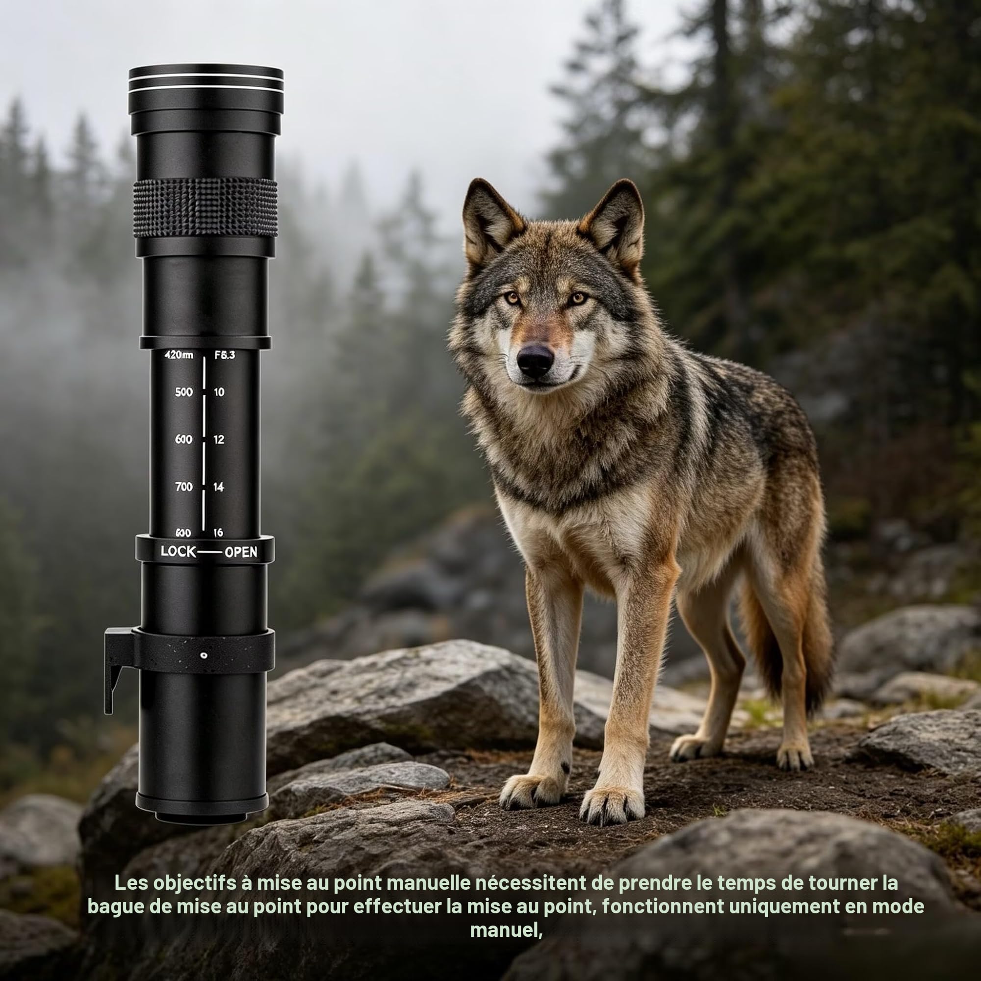 JINTU 420-800mm F8.3 Téléobjectif Zoom Objectif Manuelles EF/EF-S pour Canon T7I T6I 4000D 2000D 80D 90D 5D III 6D 7D II 60D 70D 250D 750D 760D 1200D 1100D 1500D 650D 550D 450D 3000D 6DII/5DIV/IDXIII