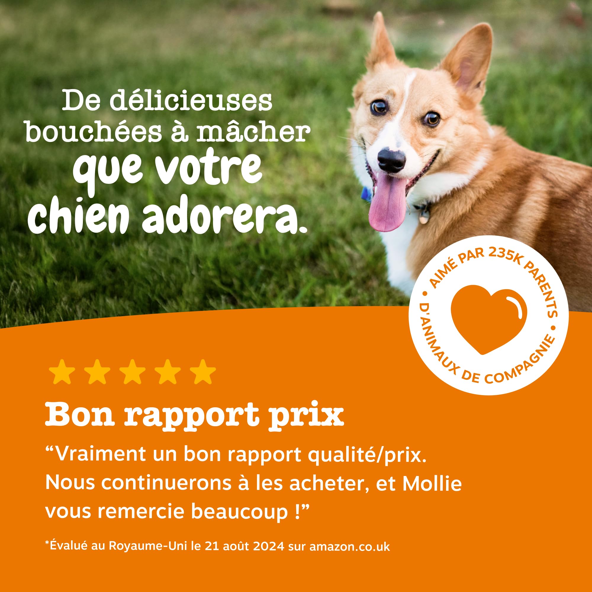 Zesty Paws Bouchées Aller-Immune Chien | Soutien Immunitaire, Soin de la Peau | Peau Sèche et Démangeaisons | Huile de Saumon, Postbiotiques, Probiotiques| Usage Quotidien | 90 Bouchées