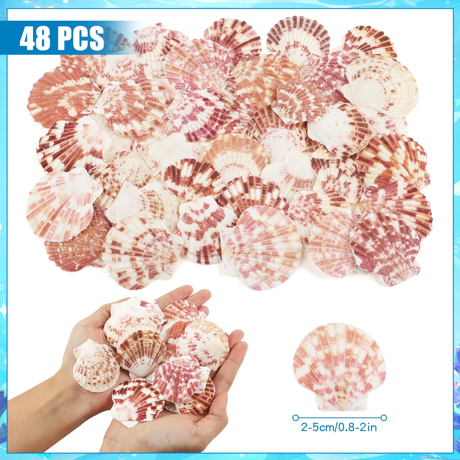 48 Pièces Coquillages de pétoncles Coquillages naturels, 3cm - 5cm Blanc et Rose Coquillages pour Mariage décoration Plage thème fête, réservoir de Poissons et Vase Remplissage