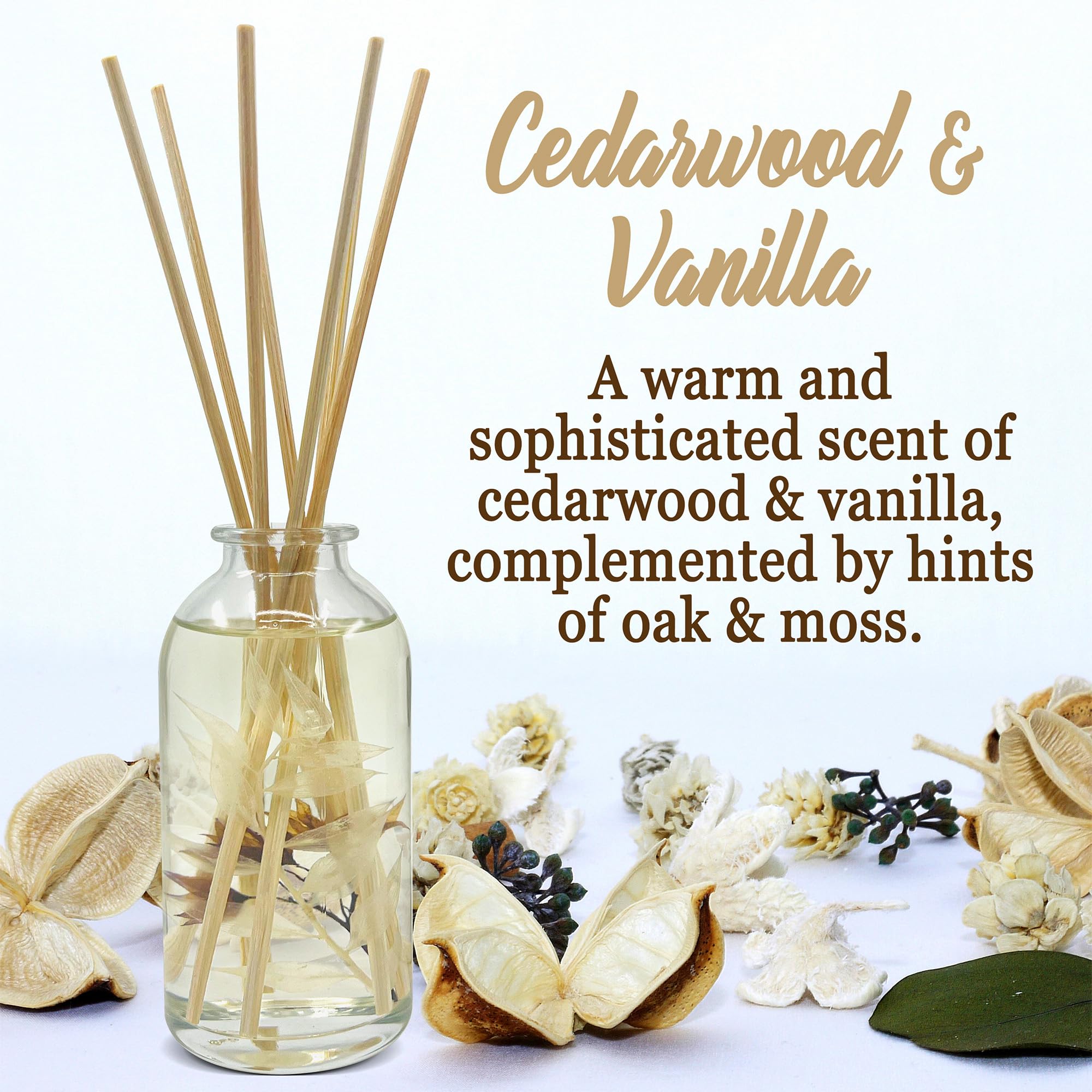 Amazon.com: Urban Naturals Cedarwood & Vanilla Reed Diffuser Set | Made  with Essential Oils & Real Botanicals | Cedar, Vanilla, Oak and Moss
