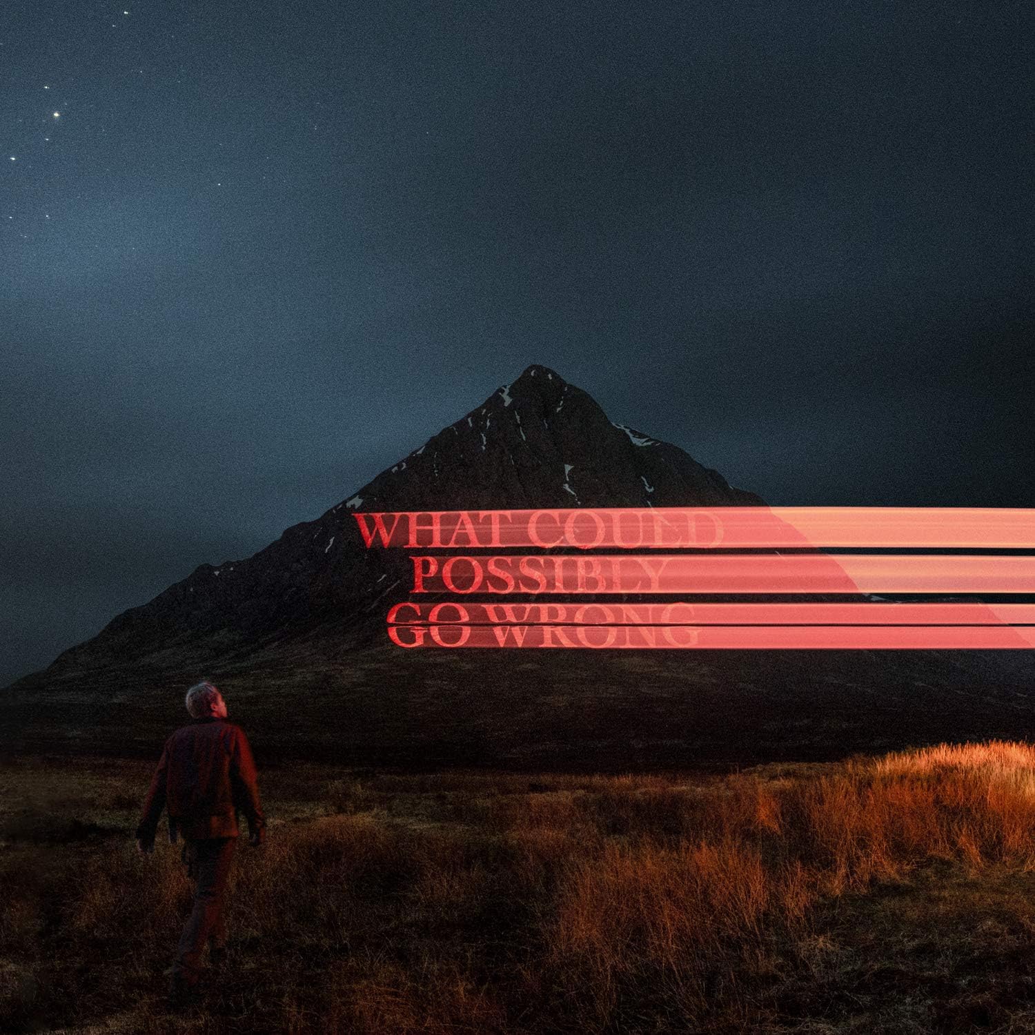 What Could Possibly Go Wrong [Disco de Vinil] por Dominic Fike — capa do álbum